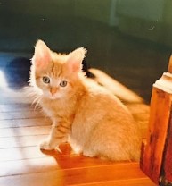 FullSizeRender (116)