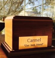 FullSizeRender (118)